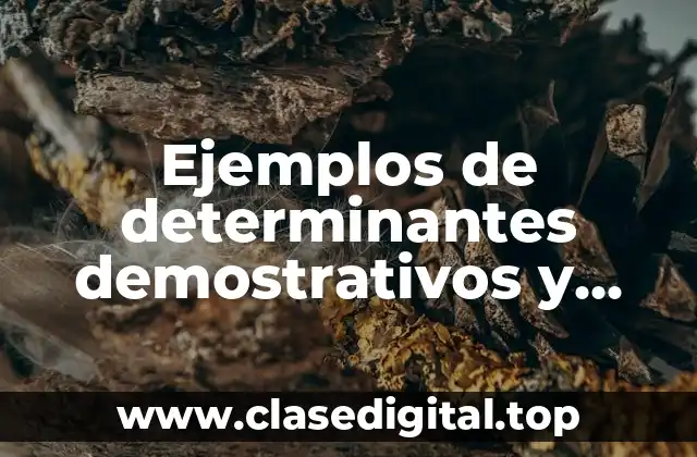 Ejemplos de determinantes demostrativos y Significado