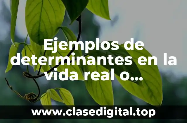Ejemplos de determinantes en la vida real o profesional