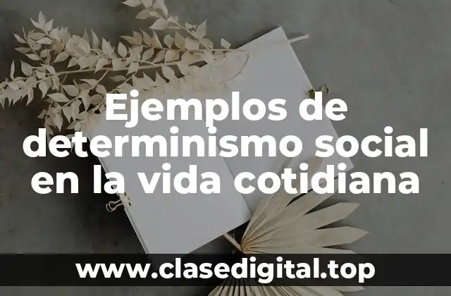 Ejemplos de determinismo social en la vida cotidiana