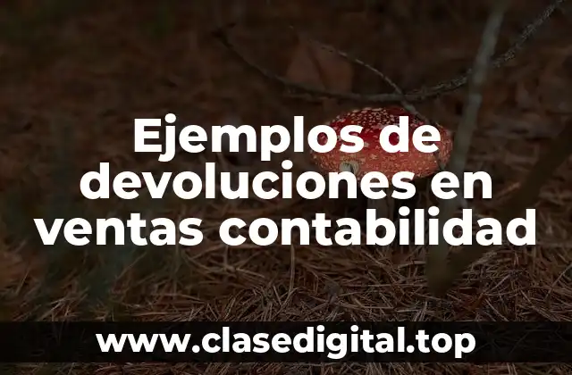 Ejemplos de devoluciones en ventas contabilidad