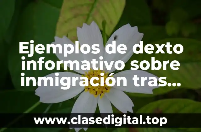 Ejemplos de dexto informativo sobre inmigración tras atentado en NY
