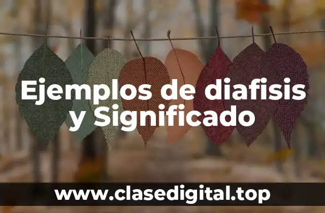 Ejemplos de diafisis y Significado