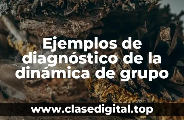 Ejemplos de diagnóstico de la dinámica de grupo
