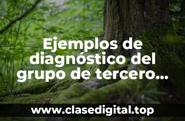 Ejemplos de diagnóstico del grupo de tercero primaria