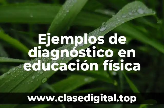 Ejemplos de diagnóstico en educación física