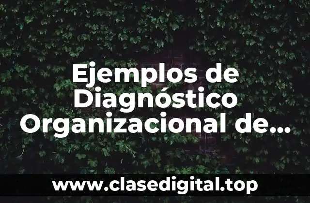 Ejemplos de Diagnóstico Organizacional de una Empresa