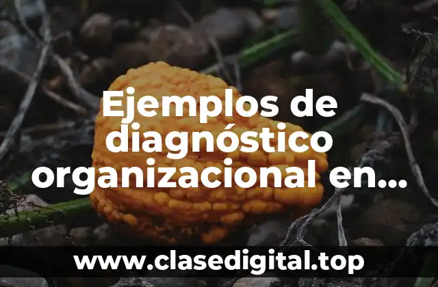 Ejemplos de diagnóstico organizacional en una tienda departamental
