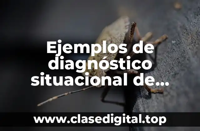Ejemplos de diagnóstico situacional de enfermería en un hospital