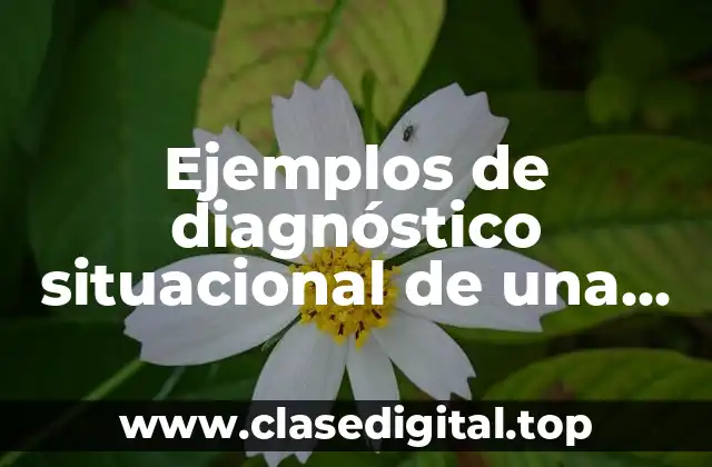 Ejemplos de diagnóstico situacional de una comunidad