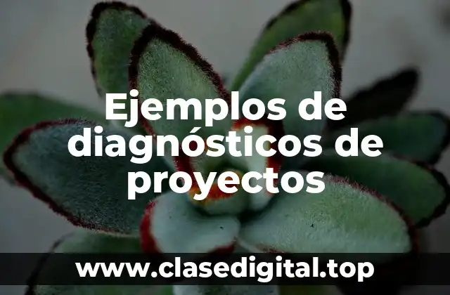 Ejemplos de diagnósticos de proyectos