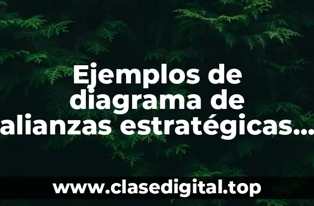 Ejemplos de diagramas de alianzas estratégicas