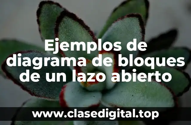 Ejemplos de diagrama de bloques de un lazo abierto