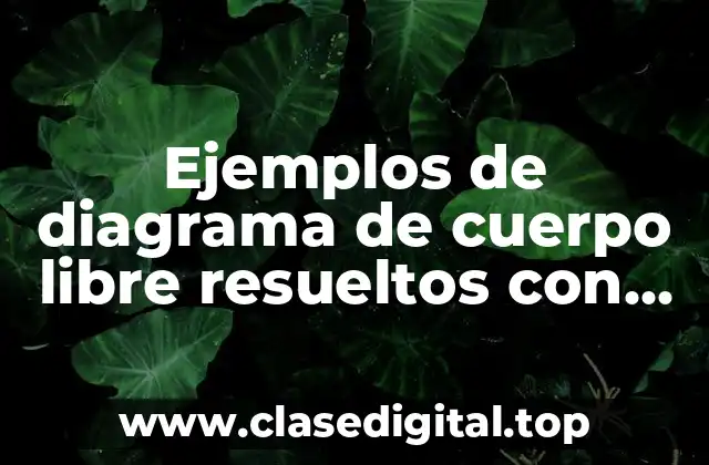 Ejemplos de diagrama de cuerpo libre resueltos con fracción