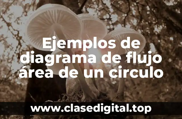 Ejemplos de diagrama de flujo área de un circulo