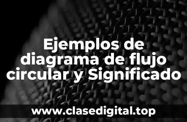 Ejemplos de diagrama de flujo circular y Significado