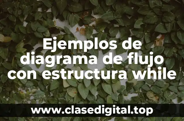 Ejemplos de diagrama de flujo con estructura while