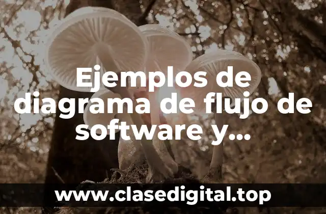 Ejemplos de diagrama de flujo de software y Significado