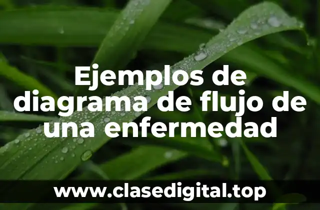 Ejemplos de diagrama de flujo de una enfermedad