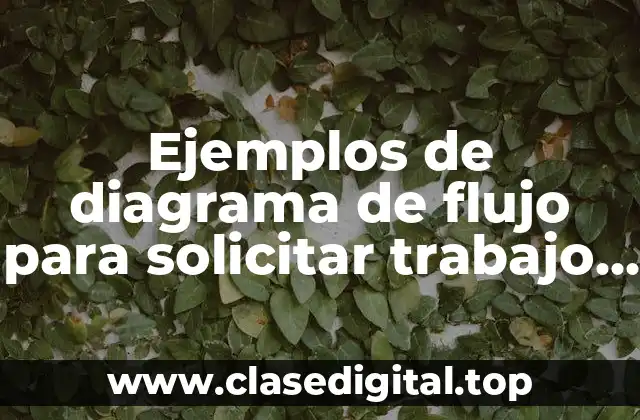 Ejemplos de diagrama de flujo para solicitar trabajo como cajera