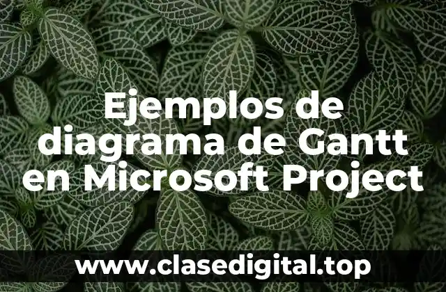 Ejemplos de diagrama de Gantt en Microsoft Project