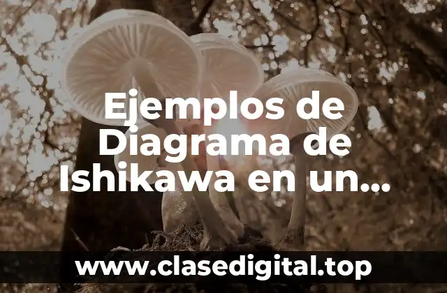 Ejemplos de Diagrama de Ishikawa en un proceso y Significado