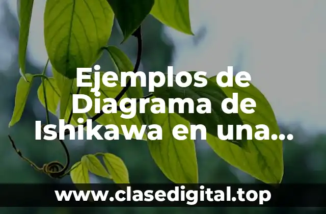 Ejemplos de Diagrama de Ishikawa en una empresa y Significado