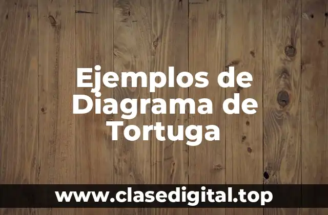 Ejemplos de Diagrama de Tortuga
