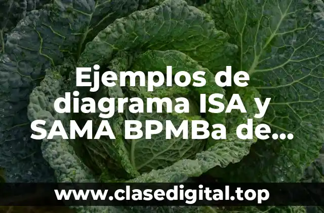Ejemplos de diagrama ISA y SAMA BPMBa de agua
