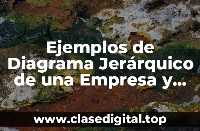 Ejemplos de Diagrama Jerárquico de una Empresa y Significado