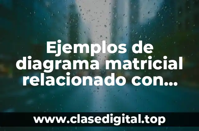 Ejemplos de diagrama matricial relacionado con recursos financieros