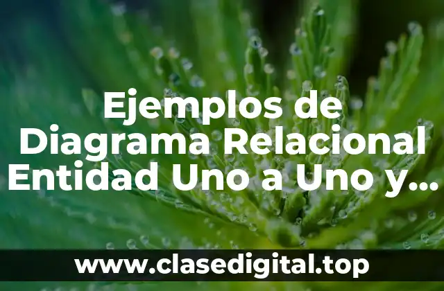Ejemplos de Diagrama Relacional Entidad Uno a Uno y Significado