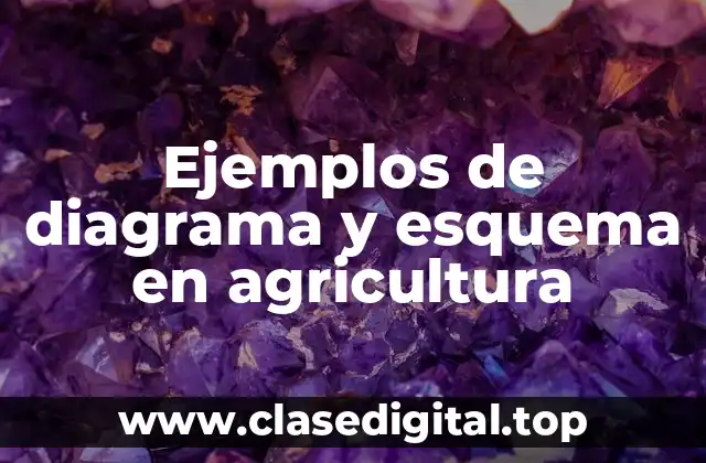 Ejemplos de diagrama y esquema en agricultura