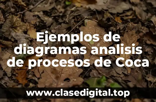 Ejemplos de diagramas de análisis de procesos de Coca-Cola