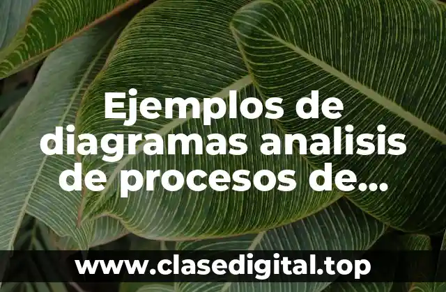 Ejemplos de diagramas analisis de procesos de vidrios