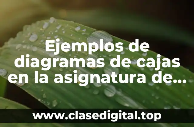 Ejemplos de diagramas de cajas en la asignatura de ciencias