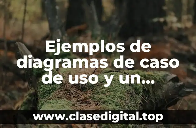 Ejemplos de diagramas de caso de uso y un inventario y Significado