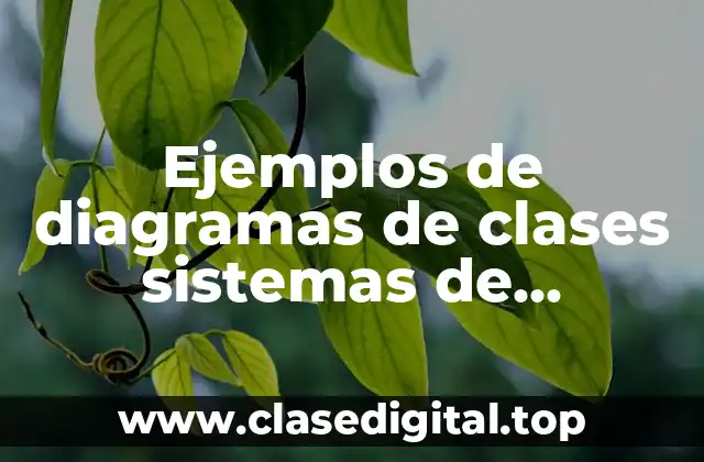Ejemplos de diagramas de clases sistemas de información