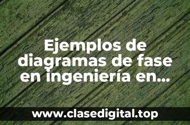 Ejemplos de diagramas de fase en ingeniería en sistemas