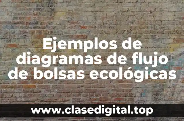 Ejemplos de diagramas de flujo de bolsas ecológicas