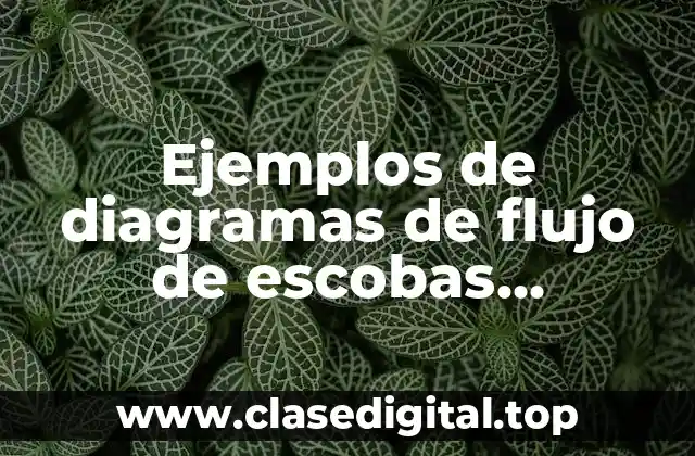 Ejemplos de diagramas de flujo de escobas recicladas