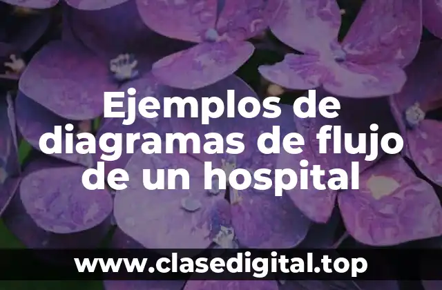 Ejemplos de diagramas de flujo de un hospital