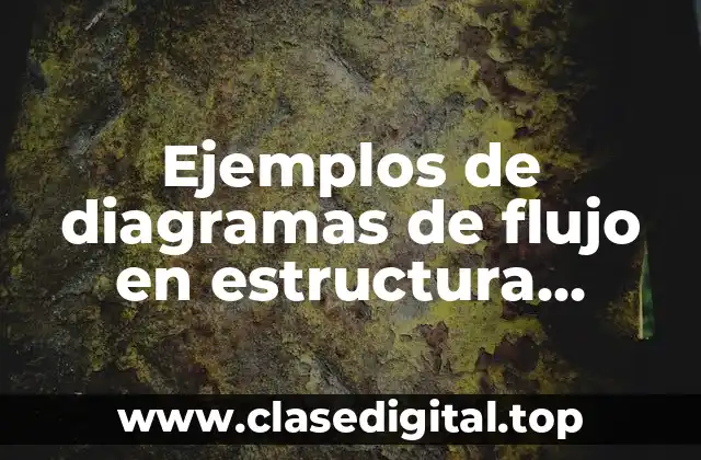 Ejemplos de diagramas de flujo en estructura iterativa