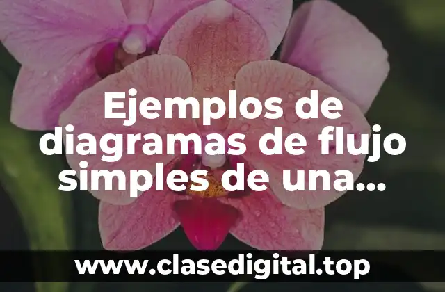 Ejemplos de diagramas de flujo simples de una empresa