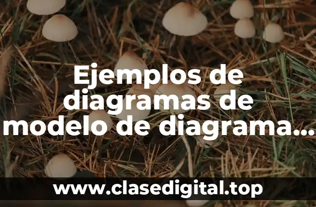 Ejemplos de diagramas de modelo de diagrama de clases