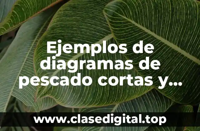 Ejemplos de diagramas de pescado cortas y sencillas