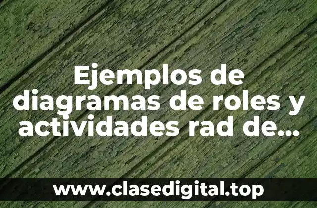 Ejemplos de diagramas de roles y actividades rad de finanzas