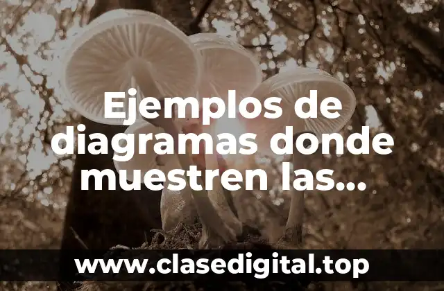 Ejemplos de diagramas donde muestren las estructuras del espermatozoide