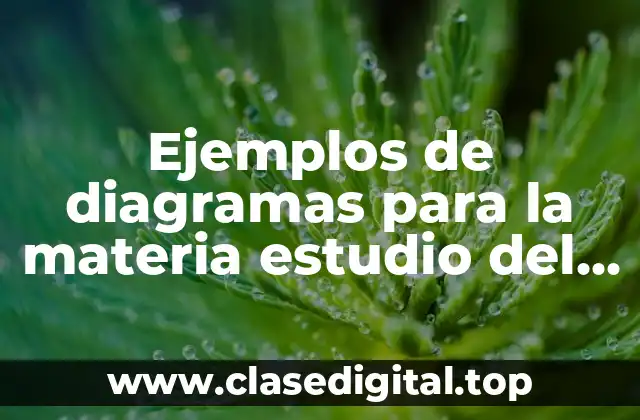 Ejemplos de diagramas para la materia estudio del trabajo