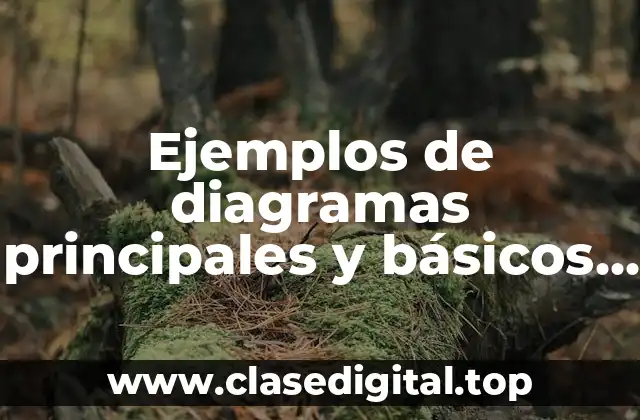 Ejemplos de diagramas principales y básicos del conceptual y Significado