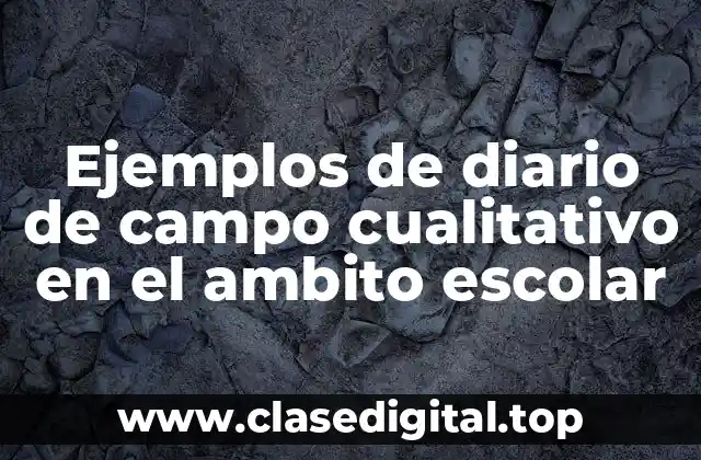 Ejemplos de diario de campo cualitativo en el ambito escolar
